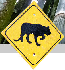 Leider nur ein Schild - hier gibt es Jaguare 