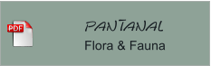Pantanal Flora & Fauna