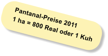 Pantanal-Preise 2011 1 ha = 800 Real oder 1 Kuh