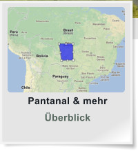Pantanal & mehr  Überblick