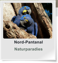 Nord-Pantanal Naturparadies