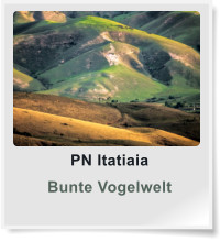 PN Itatiaia Bunte Vogelwelt